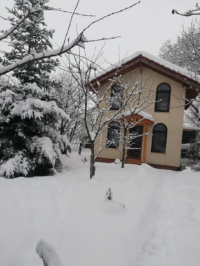 TINY CABIN